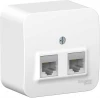 BLNIA045451 Розетка накладная двойная Ethernet RJ-45 (белый) Systeme Electric Blanca BLNIA045451