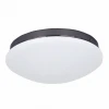 2468-2C Потолочный светильник F-Promo Ledante 2468-2C