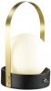 4076/5TL Интерьерная настольная лампа Odeon Light Tram 4076/5TL