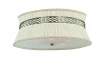 SL142.502.05 Потолочный светильник ST Luce SL142 SL142.502.05