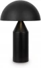 FR5218TL-02B1 Настольная лампа Freya Eleon FR5218TL-02B1 (220V, выключатель, гриб)