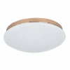 2465-2C Потолочный светильник F-Promo Ledante 2465-2C