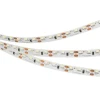 027038 Светодиодная лента Arlight RS 027038