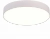 ST606.542.36 Потолочный светильник светодиодный ST Luce ST606.542.36 Белый LED 1*36W
