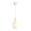 FR5509PL-01W1 Подвесной светильник Freya Alies FR5509PL-01W1