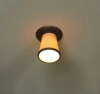LSL-2300-01 Потолочный светильник Lussole Fossombrone LSL-2300-01