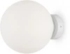 MOD321WL-01W1 Настенно-потолочный светильник Maytoni Basic form MOD321WL-01W1 (220V, шар)