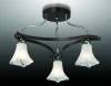 2237/3C Потолочная люстра Odeon Light Iwo 2237/3C