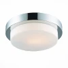 SL498.552.01 Настенно-потолочный светильник ST Luce Bagno SL498.552.01