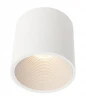 348108 Накладной точечный светильник Deko-Light Australis 348108