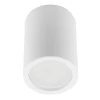 DLC-S601 GU10 WHITE Накладной потолочный светильник Fametto Sotto DLC-S601 GU10 WHITE