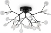 FR5049CL-27B Люстра на штанге потолочная Florencia FR5049CL-27B (220V, лепестки)