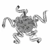 742654 Бра Lightstar SPIDER 742654
