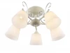 1059/5C Потолочная люстра J-Light Bowi 1059/5C