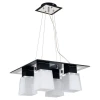 LSC-2503-04 Подвесной светильник Lussole Lente LSC-2503-04