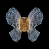 FL1103-1W2 Настенный светильник светодиодный Fluorite Borboleta FL1103-1W2