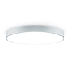 FR6129CL-L80GR Потолочный светильник светодиодный Freya Sprida FR6129CL-L80GR 80Вт LED с пультом ДУ