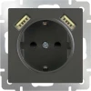 WL07-SKGS-USBx2-IP20 Розетка встраиваемая с заземлением, шторками и двумя USB Werkel, серо-коричневый