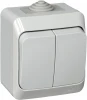BA10-042C Выключатель накладной двухклавишный (серый) IP44 Systeme Electric BA10-042C