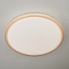 40014/1 LED кофе Потолочный светильник Elektrostandard 40014/1 LED кофе