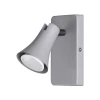 3825/1W Спот Odeon Light Reanna 3825/1W