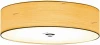 L65056.34 L'Arte Luce Disk L65056.34