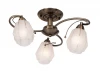 506.53.3 Потолочная люстра Silver Light Brazil 506.53.3