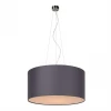 Crocus Glade S2 01 06 Подвесной светильник TopDecor Crocus Grey Crocus Glade S2 01 06