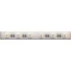 A2406012-04-RGB3K Светодиодная лента влагозащищенная IP65 24V 14,4W/m RGB+W 3100К 5м Arte Lamp Aqua Tape A2406012-04-RGB3K