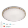 3306.B247-350 White/Yellow Потолочный светильник светодиодный с ПДУ APL LED Turin 3306.B247-350 White/Yellow