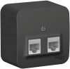 BLNIA045456 Розетка накладная двойная Ethernet RJ-45 (антрацит) Systeme Electric Blanca BLNIA045456