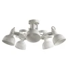 A5216PL-5WG Потолочная люстра Arte Lamp Martin A5216PL-5WG