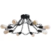 A9344PL-8BK Потолочная люстра Arte Lamp Riverrun A9344PL-8BK