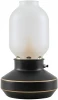 LSP-0568 Интерьерная настольная лампа Lussole Anchorage LSP-0568