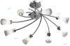 1804/8 Потолочная люстра Odeon Light Coli 1804/8