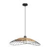A7061SP-1BK Подвесной светильник Arte Lamp Woodstock A7061SP-1BK (220V, на проводе)