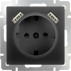 WL08-SKGS-USBx2-IP20 Розетка встраиваемая с заземлением, шторками и двумя USB Werkel, черный