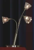 LSC-3014-03 Интерьерная настольная лампа Lussole Caserta LSC-3014-03