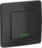 BLNVS010116 Выключатель встраиваемый одноклавишный с подсветкой (антрацит) Systeme Electric Blanca BLNVS010116