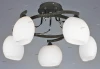 OML-27207-05 d Omnilux 272 OML-27207-05 d