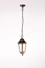 79805M Уличный светильник подвесной Oasis Light Petersburg M Black 79805M