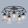 L17755.19 Потолочная люстра L'Arte Luce Gela L17755.19
