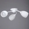 V3597/3PL Потолочная люстра Vitaluce V3597/3PL
