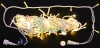 RL-S10CF-220V-W/WW Гирлянда светодиодная белая с мерцанием 220B, 100 LED, провод белый, IP54 RL-S10CF-220V-W/WW Rich LED