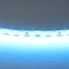 420516 Светодиодная лента цветного свечения 24V, голубой Lightstar 420516
