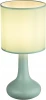 21657G Интерьерная настольная лампа Globo Parina 21657G