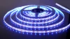 3528/60 LED 4.8W IP20 синий свет Светодиодная лента Elektrostandard 3528/60 LED 4.8W IP20 синий свет