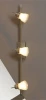 LSL-7601-03 Настенно-потолочный светильник Lussole Asseggiano LSL-7601-03