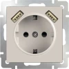 WL03-SKGS-USBx2-IP20 Розетка встраиваемая с заземлением, шторками и двумя USB Werkel, слоновая кость