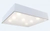 DND3011 Потолочный светильник Day&Night Квадрат DND3011